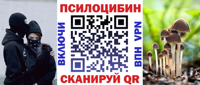 MEGA маркетплейс  Заозёрск  darknet Telegram  Псилоцибиновые грибы Psilocybe 